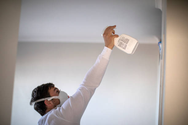 Best Commercial Mold Remediation in Lake Park, NC